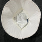 Tommy Hilfiger Essential Flag White Bucket Hat – Women